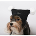 Yoriki Шапочка для собак, размер универсальный – интернет-магазин Ле’Муррр