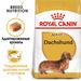 Royal Canin Adult Dachshund Сухой корм для взрослых собак породы Такса – интернет-магазин Ле’Муррр